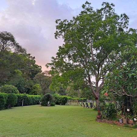 Bielby'S Hideaway Hotel Eudlo Bagian luar foto