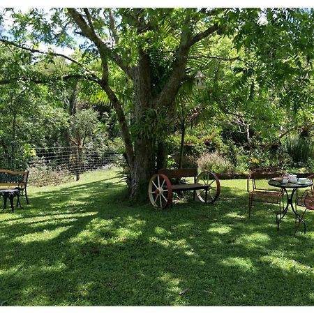 Bielby'S Hideaway Hotel Eudlo Bagian luar foto