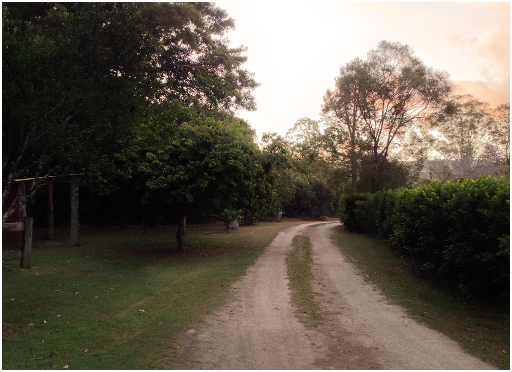 Bielby'S Hideaway Hotel Eudlo Bagian luar foto