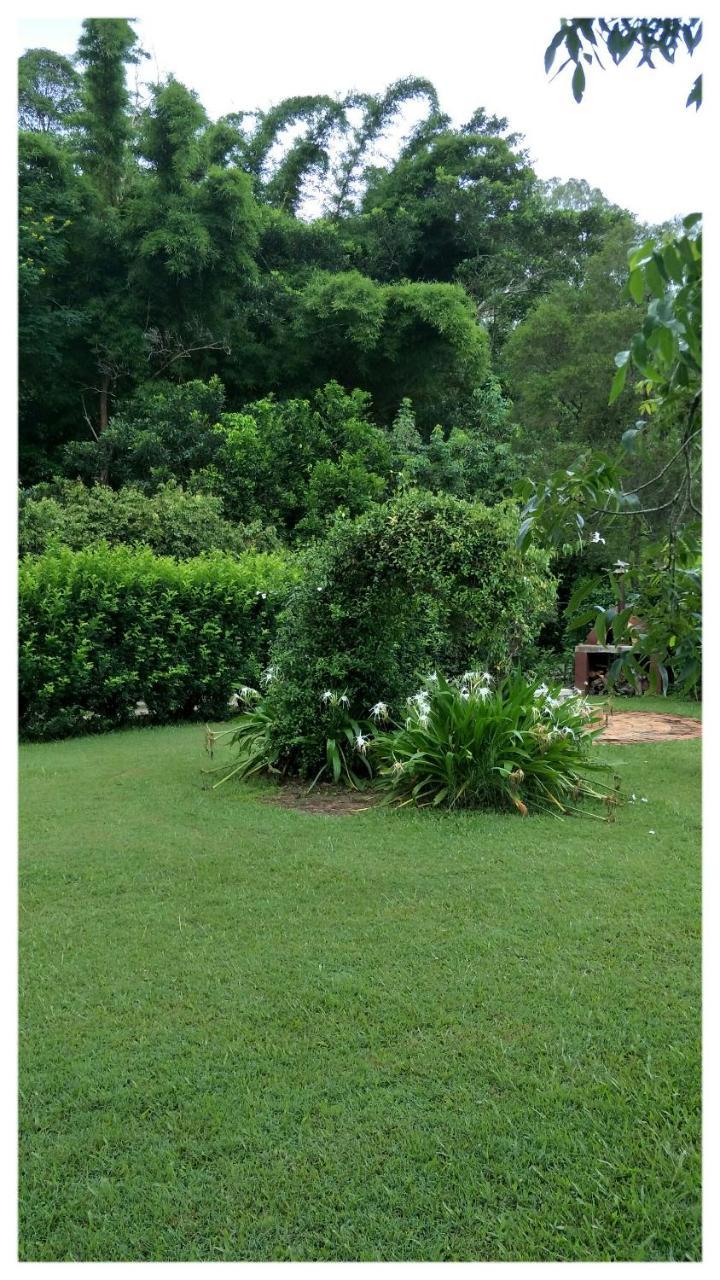 Bielby'S Hideaway Hotel Eudlo Bagian luar foto